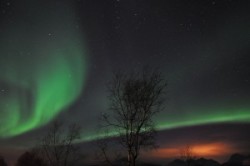 The Northern Lights (Aurora Borealis) near Tromsø, Norway